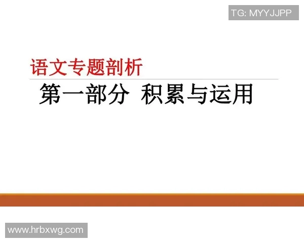 深圳羽毛球队耐力对比深度分析及训练策略探讨
